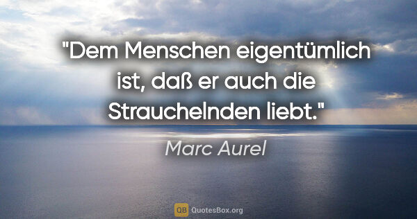 Marc Aurel Zitat: "Dem Menschen eigentümlich ist, daß er auch die Strauchelnden..."