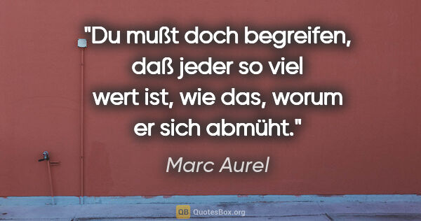 Marc Aurel Zitat: "Du mußt doch begreifen, daß jeder so viel wert ist, wie das,..."