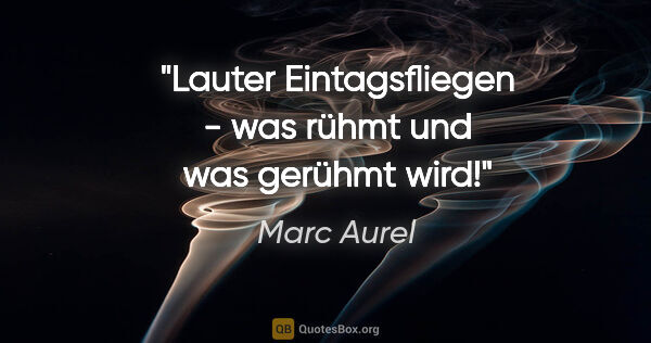 Marc Aurel Zitat: "Lauter Eintagsfliegen - was rühmt und was gerühmt wird!"