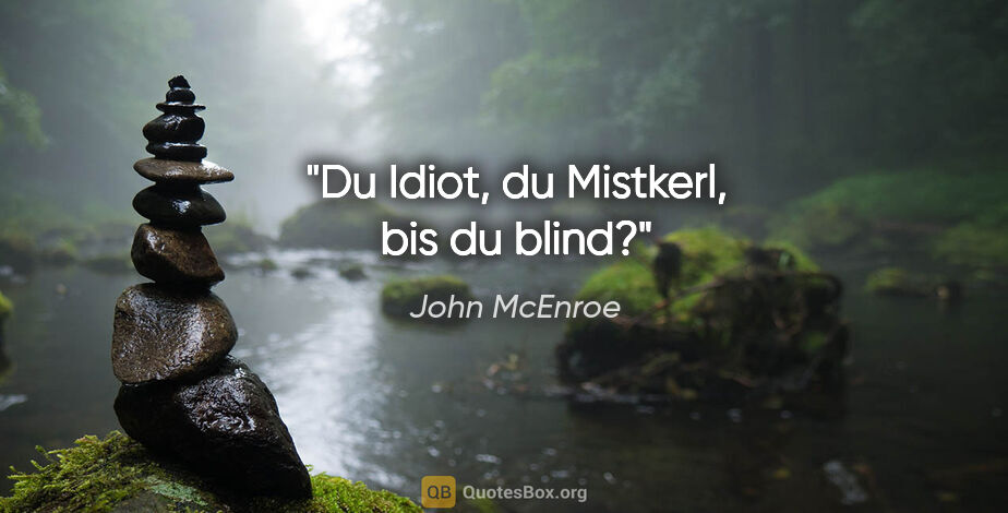 John McEnroe Zitat: "Du Idiot, du Mistkerl, bis du blind?"