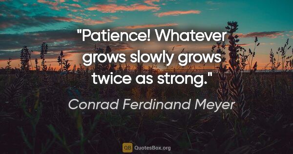 Conrad Ferdinand Meyer Zitat: "Patience! Whatever grows slowly grows twice as strong."