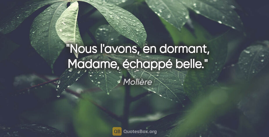 Molière Zitat: "Nous l'avons, en dormant, Madame, échappé belle."