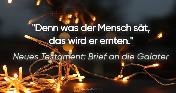 Neues Testament: Brief an die Galater Zitat: "Denn was der Mensch sät, das wird er ernten."