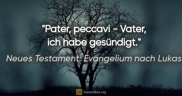 Neues Testament: Evangelium nach Lukas Zitat: "Pater, peccavi - Vater, ich habe gesündigt."