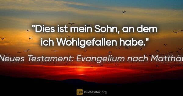 Neues Testament: Evangelium nach Matthäus Zitat: "Dies ist mein Sohn, an dem ich Wohlgefallen habe."