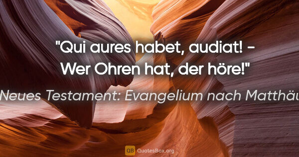 Neues Testament: Evangelium nach Matthäus Zitat: "Qui aures habet, audiat! - Wer Ohren hat, der höre!"
