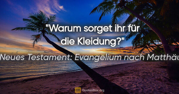 Neues Testament: Evangelium nach Matthäus Zitat: "Warum sorget ihr für die Kleidung?"