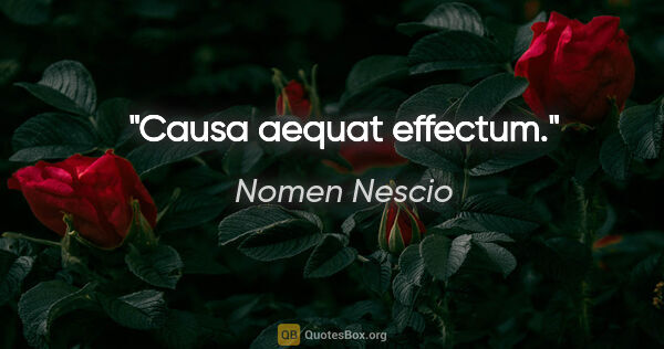 Nomen Nescio Zitat: "Causa aequat effectum."