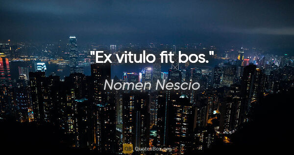Nomen Nescio Zitat: "Ex vitulo fit bos."