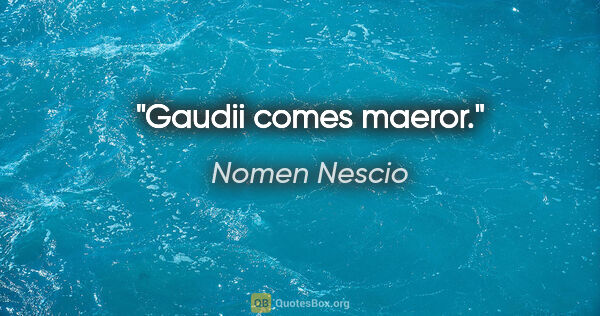 Nomen Nescio Zitat: "Gaudii comes maeror."