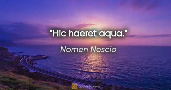 Nomen Nescio Zitat: "Hic haeret aqua."