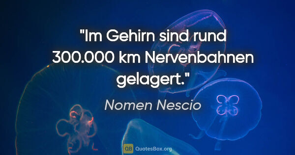 Nomen Nescio Zitat: "Im Gehirn sind rund 300.000 km Nervenbahnen gelagert."
