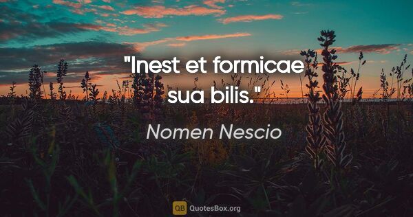 Nomen Nescio Zitat: "Inest et formicae sua bilis."