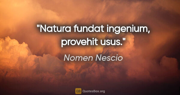Nomen Nescio Zitat: "Natura fundat ingenium, provehit usus."