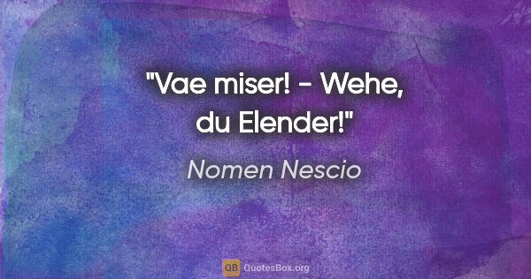 Nomen Nescio Zitat: "Vae miser! - Wehe, du Elender!"