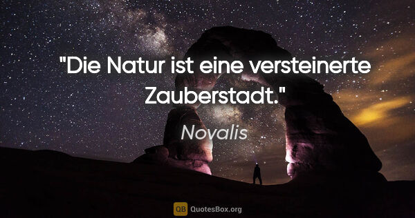 Novalis Zitat: "Die Natur ist eine versteinerte Zauberstadt."