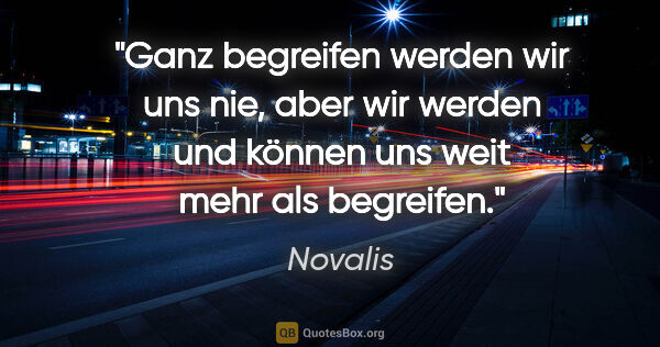 Novalis Zitat: "Ganz begreifen werden wir uns nie, aber wir werden und können..."