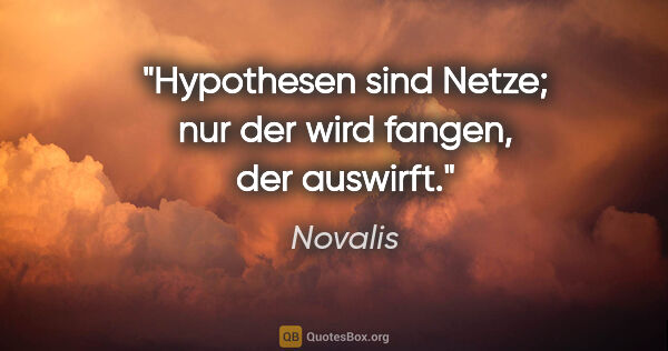 Novalis Zitat: "Hypothesen sind Netze; nur der wird fangen, der auswirft."