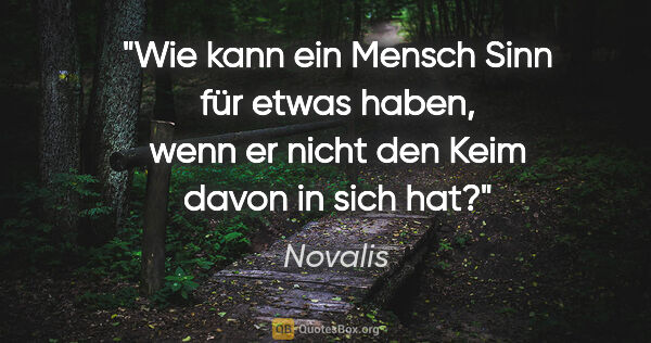 Novalis Zitat: "Wie kann ein Mensch Sinn für etwas haben, wenn er nicht den..."