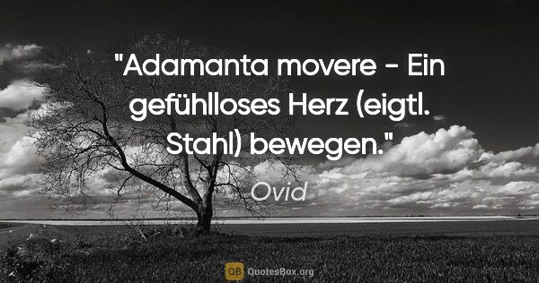 Ovid Zitat: "Adamanta movere - Ein gefühlloses Herz (eigtl. Stahl) bewegen."