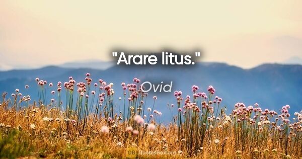 Ovid Zitat: "Arare litus."