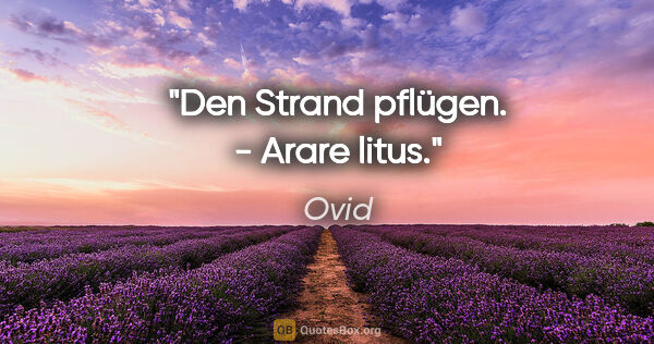 Ovid Zitat: "Den Strand pflügen. - Arare litus."