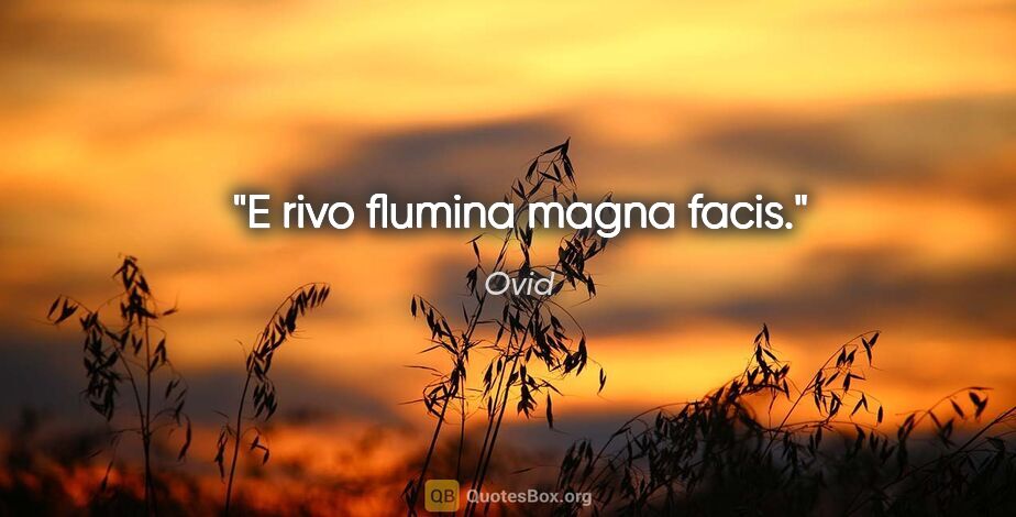 Ovid Zitat: "E rivo flumina magna facis."