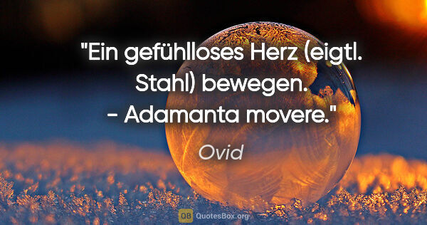 Ovid Zitat: "Ein gefühlloses Herz (eigtl. Stahl) bewegen. - Adamanta movere."