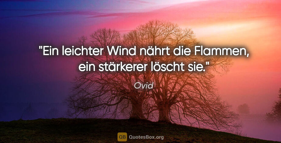 Ovid Zitat: "Ein leichter Wind nährt die Flammen, ein stärkerer löscht sie."