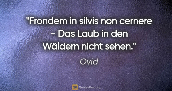 Ovid Zitat: "Frondem in silvis non cernere - Das Laub in den Wäldern nicht..."
