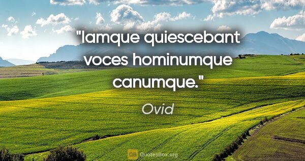 Ovid Zitat: "Iamque quiescebant voces hominumque canumque."