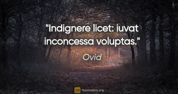 Ovid Zitat: "Indignere licet: iuvat inconcessa voluptas."