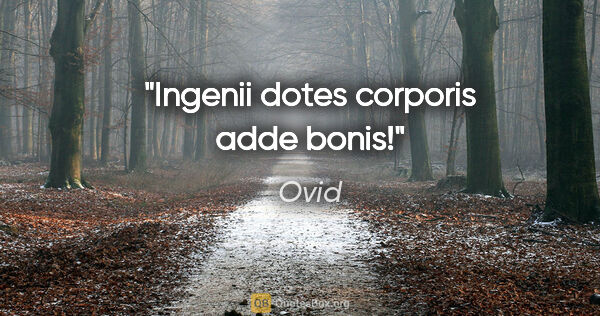Ovid Zitat: "Ingenii dotes corporis adde bonis!"