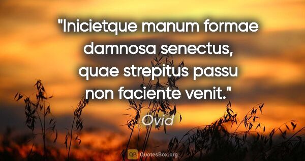 Ovid Zitat: "Inicietque manum formae damnosa senectus, quae strepitus passu..."