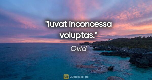 Ovid Zitat: "Iuvat inconcessa voluptas."