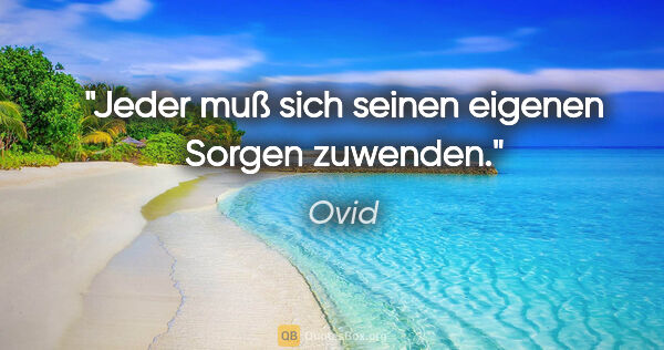 Ovid Zitat: "Jeder muß sich seinen eigenen Sorgen zuwenden."