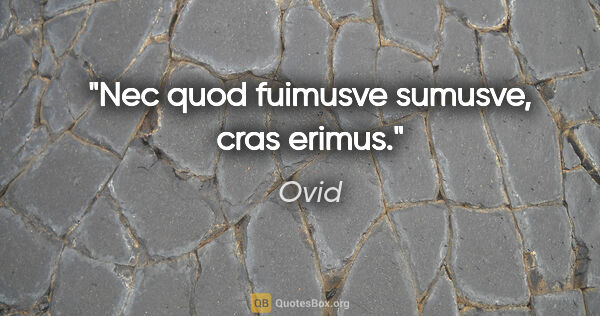 Ovid Zitat: "Nec quod fuimusve sumusve, cras erimus."