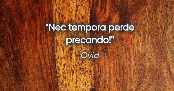 Ovid Zitat: "Nec tempora perde precando!"