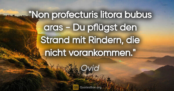Ovid Zitat: "Non profecturis litora bubus aras - Du pflügst den Strand mit..."