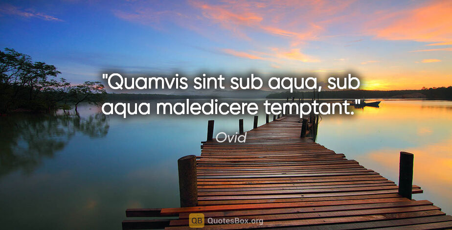 Ovid Zitat: "Quamvis sint sub aqua, sub aqua maledicere temptant."