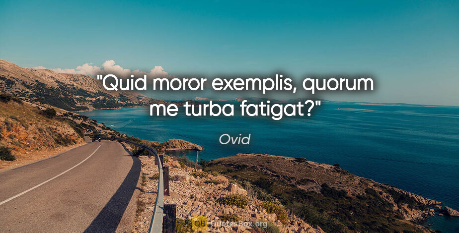 Ovid Zitat: "Quid moror exemplis, quorum me turba fatigat?"