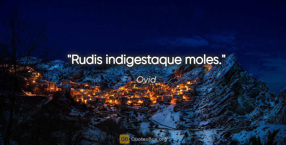 Ovid Zitat: "Rudis indigestaque moles."