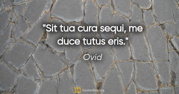 Ovid Zitat: "Sit tua cura sequi, me duce tutus eris."