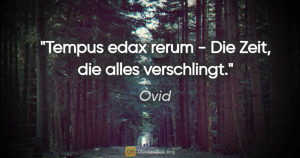 Ovid Zitat: "Tempus edax rerum - Die Zeit, die alles verschlingt."