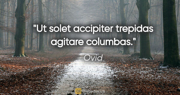 Ovid Zitat: "Ut solet accipiter trepidas agitare columbas."