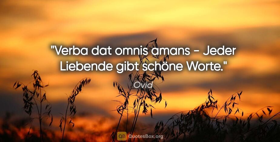 Ovid Zitat: "Verba dat omnis amans - Jeder Liebende gibt schöne Worte."