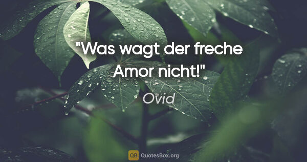 Ovid Zitat: "Was wagt der freche Amor nicht!"