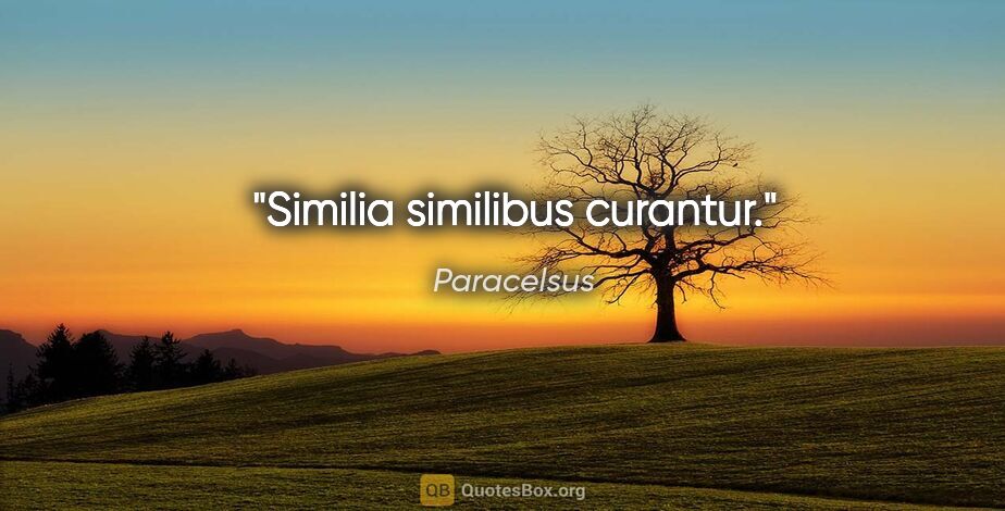 Paracelsus Zitat: "Similia similibus curantur."