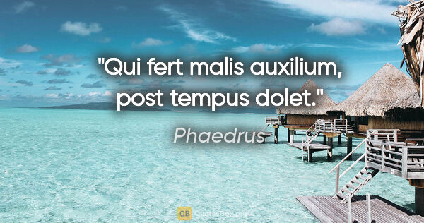 Phaedrus Zitat: "Qui fert malis auxilium, post tempus dolet."