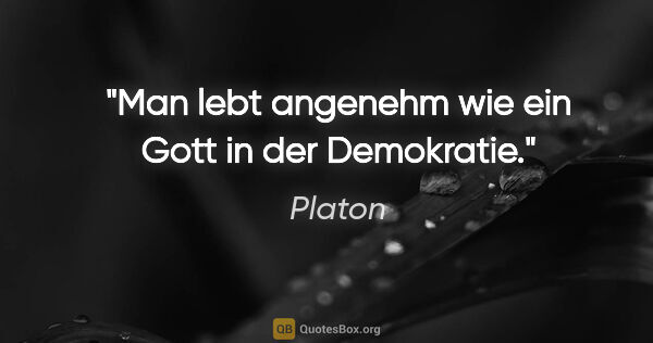 Platon Zitat: "Man lebt angenehm wie ein Gott in der Demokratie."